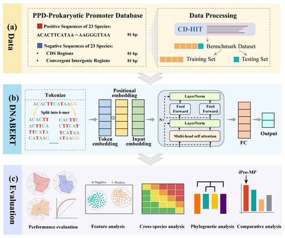 Bioinformatics Team published research results in the internationally ...