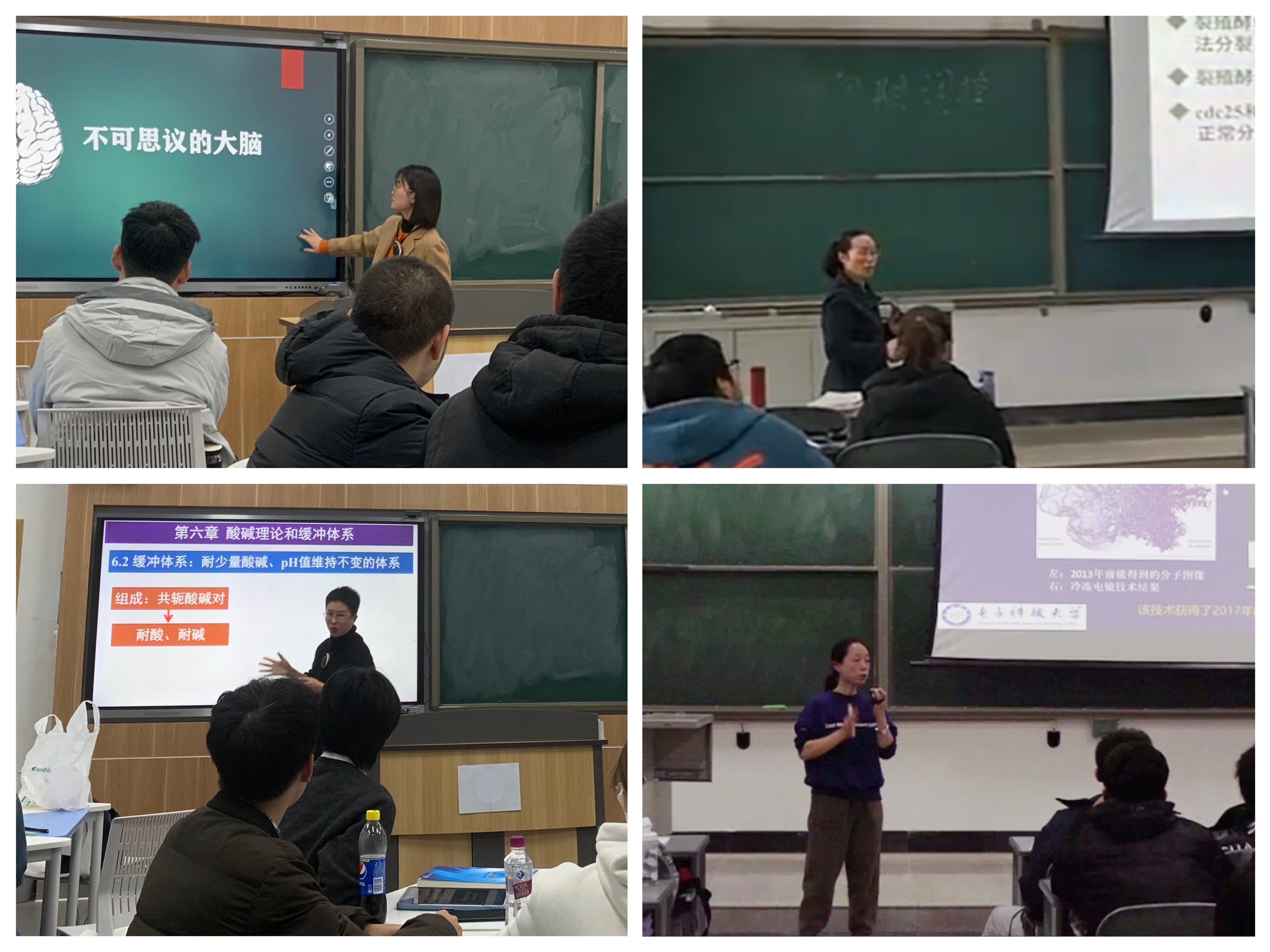 生命学院教学副院长黄健,本科教学专业首席李凌,课程首席汤丽霞,本科